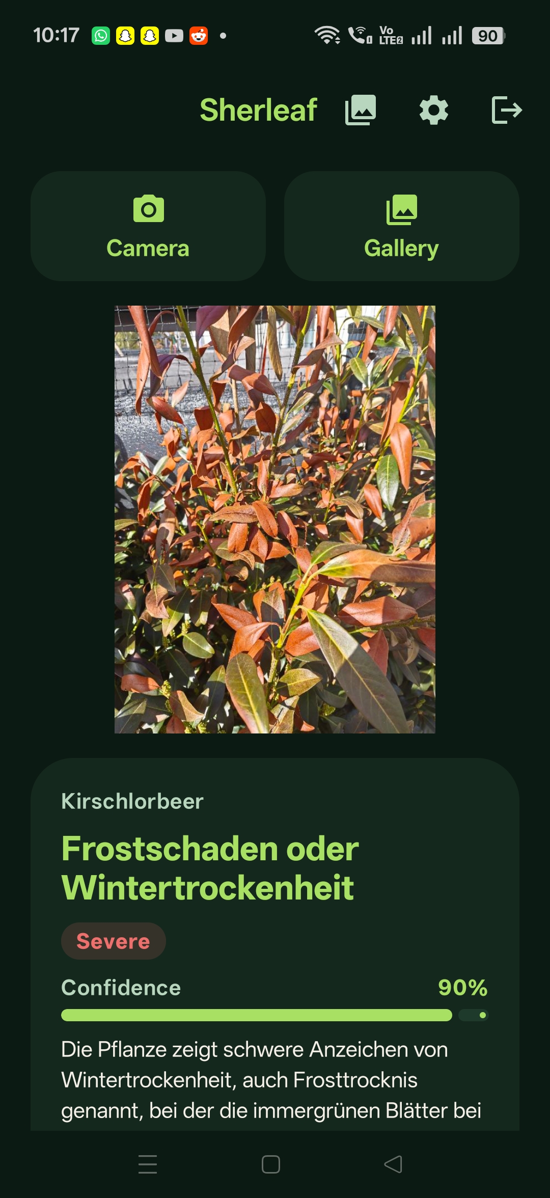 Sherleaf: Deutsch — Frostschaden, 90%