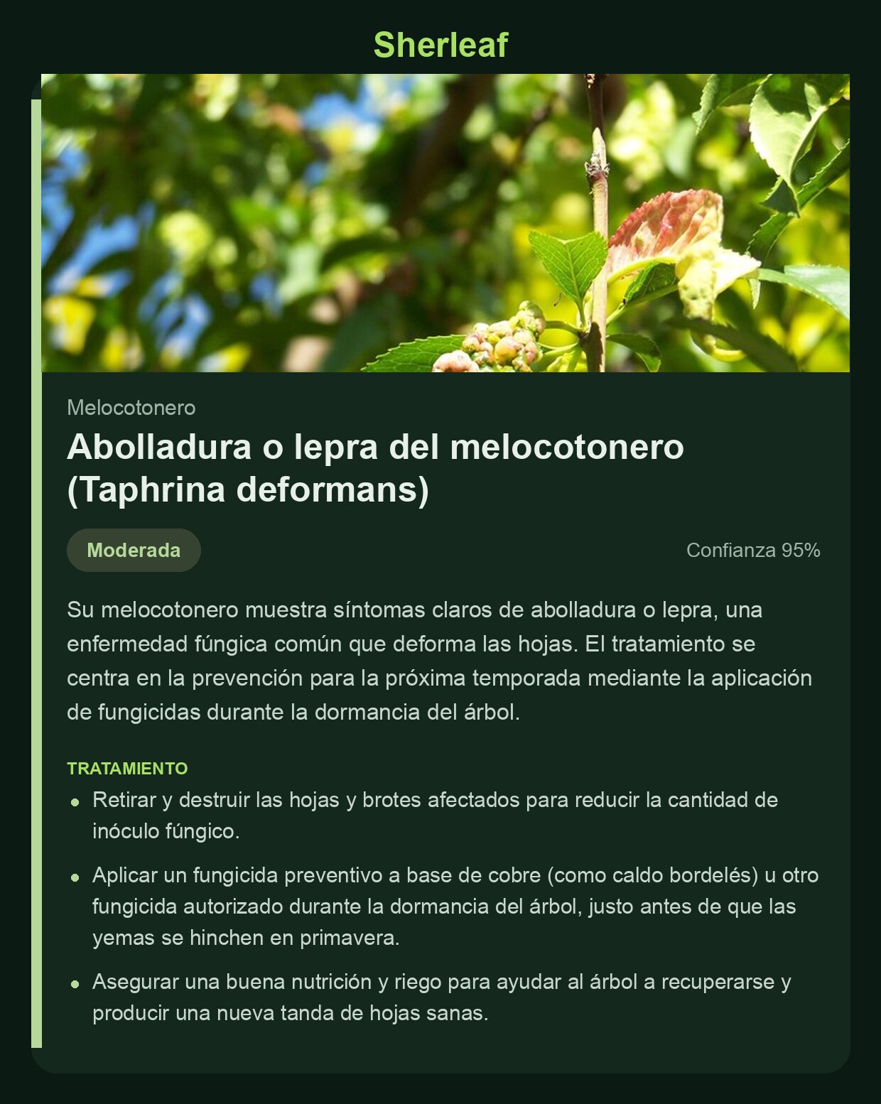 Pantalla de diagnóstico de Sherleaf con abolladura del melocotonero
