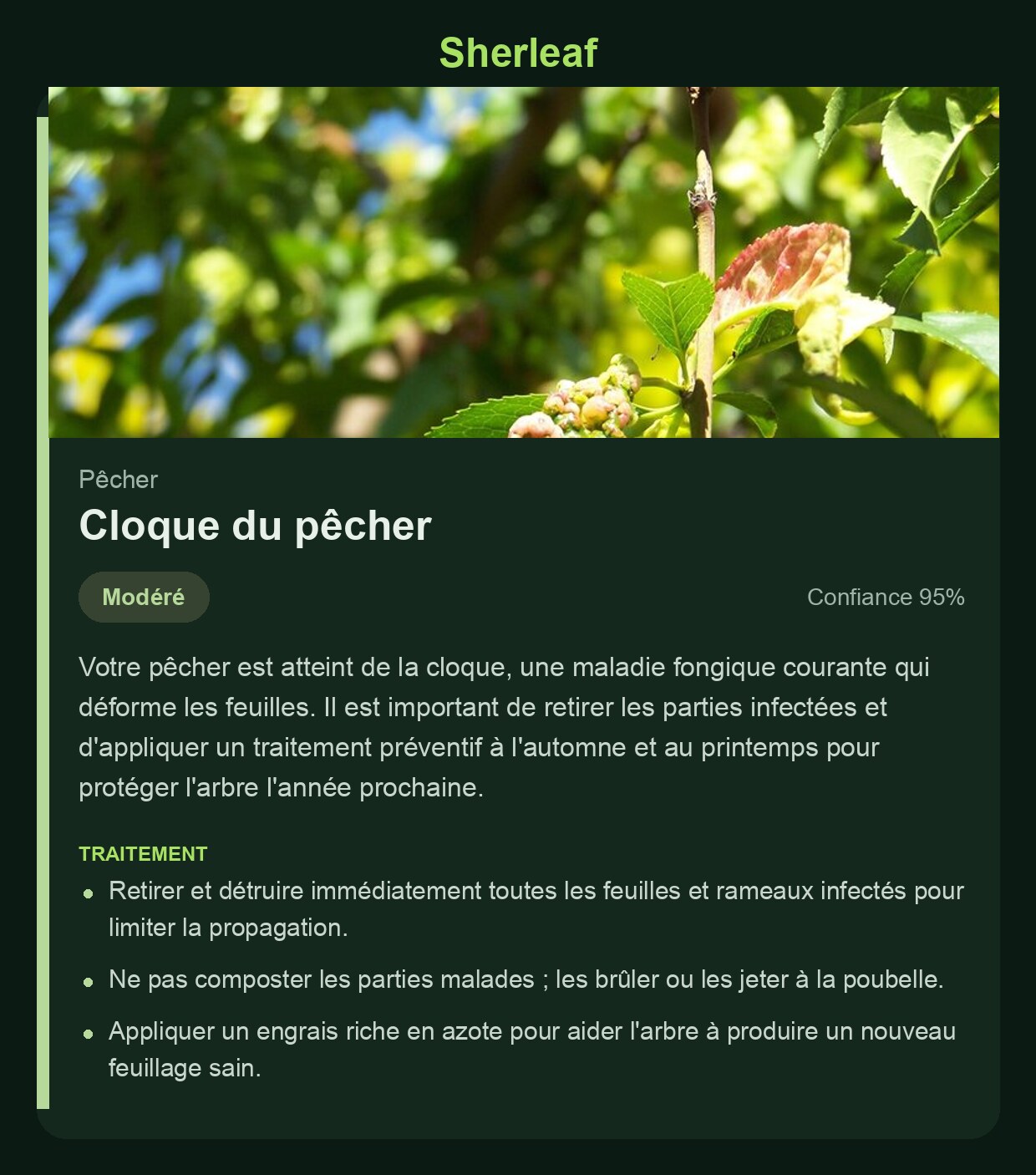Écran de diagnostic Sherleaf montrant la cloque du pêcher