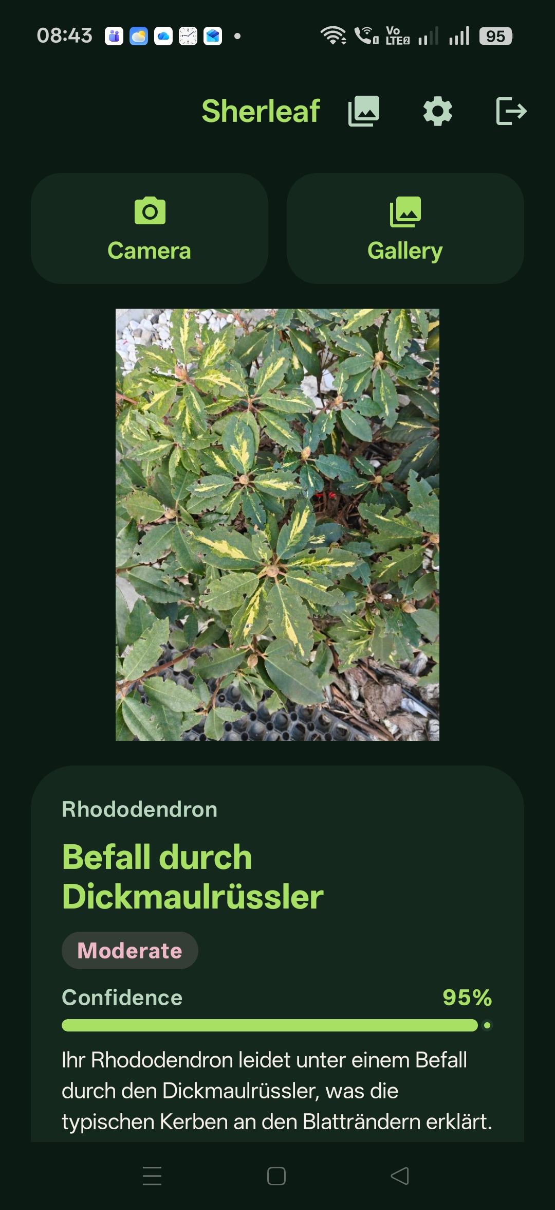 Sherleaf diagnosis in German: Befall durch Dickmaulrüssler, 95% confidence