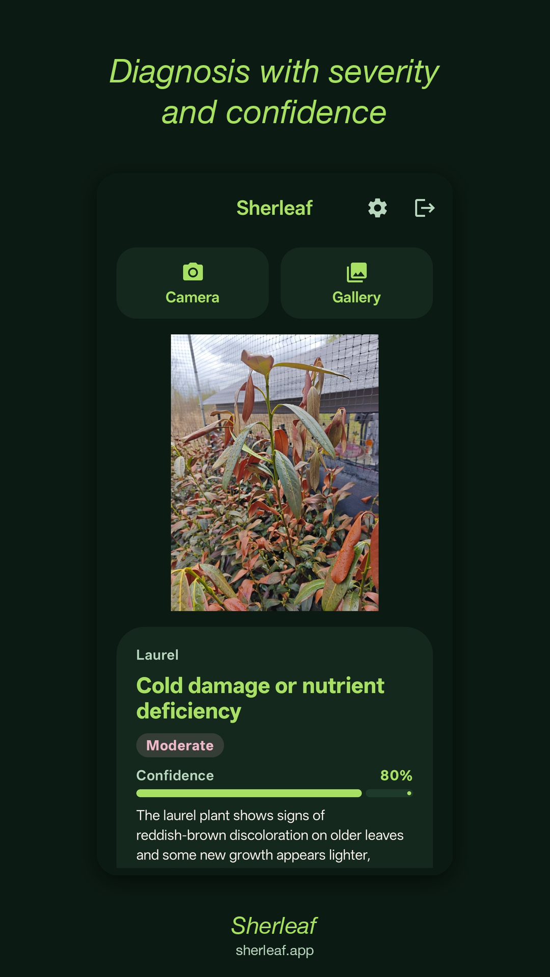 Sherleaf diagnosis screen showing a plant disease analysis